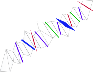 transitions-300x231
